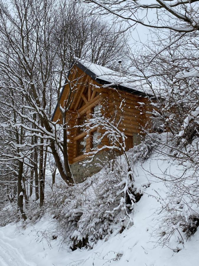 Chalet Pidstromom Mykulychyn Exterior photo