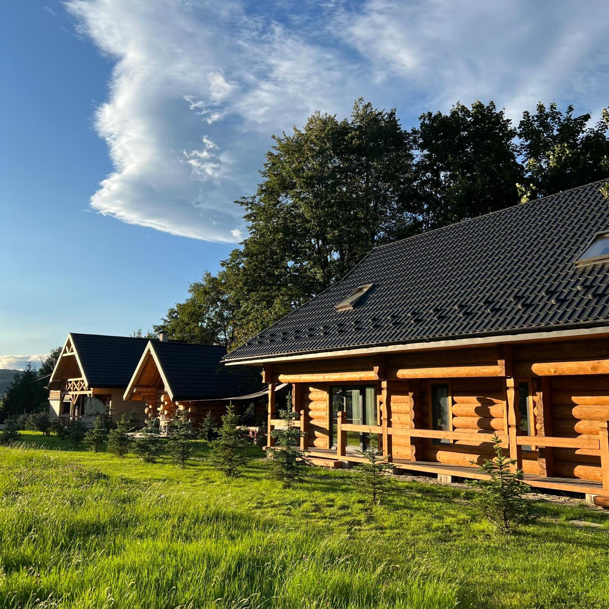 Chalet Pidstromom Mykulychyn Exterior photo